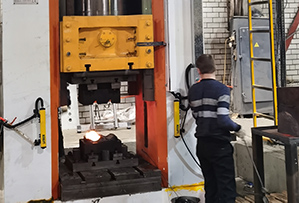 伺服壓力機(jī) 伺服壓力機(jī)